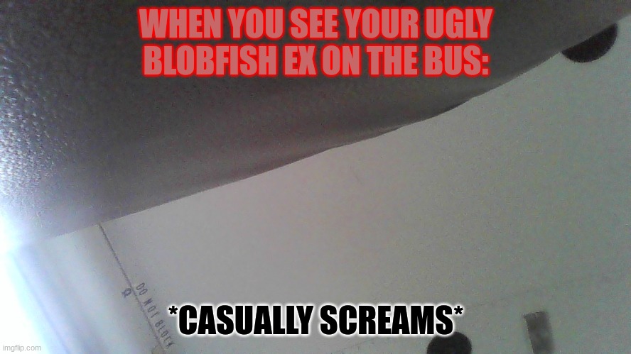WHEN YOU SEE YOUR UGLY BLOBFISH EX ON THE BUS:; *CASUALLY SCREAMS* | image tagged in ex boyfriend,bus | made w/ Imgflip meme maker