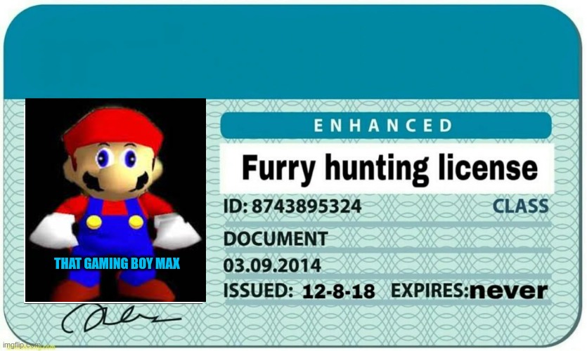 Professional - furry hunter | THAT GAMING BOY MAX | image tagged in furry hunting license,oh wow are you actually reading these tags,gay | made w/ Imgflip meme maker