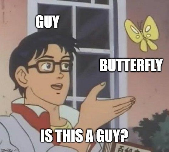 Is this a guy? | GUY; BUTTERFLY; IS THIS A GUY? | image tagged in memes,is this a pigeon | made w/ Imgflip meme maker