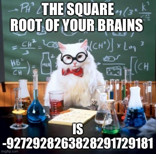 Chemistry Cat | THE SQUARE ROOT OF YOUR BRAINS; IS -9272928263828291729181 | image tagged in memes,chemistry cat | made w/ Imgflip meme maker