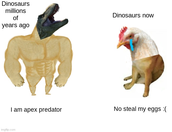 Buff Doge vs. Cheems Meme |  Dinosaurs millions
of years ago; Dinosaurs now; No steal my eggs :(; I am apex predator | image tagged in memes,buff doge vs cheems | made w/ Imgflip meme maker