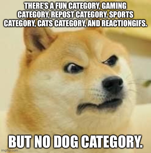 angry doge | THERE’S A FUN CATEGORY, GAMING CATEGORY, REPOST CATEGORY, SPORTS CATEGORY, CATS CATEGORY, AND REACTIONGIFS. BUT NO DOG CATEGORY. | image tagged in angry doge | made w/ Imgflip meme maker
