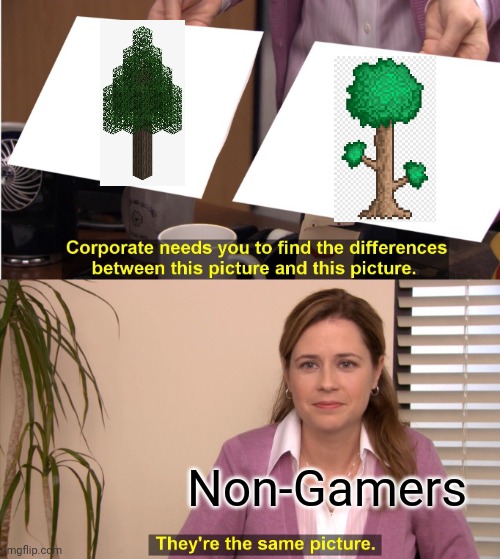 They're The Same Picture Meme | Non-Gamers | image tagged in memes,they're the same picture | made w/ Imgflip meme maker