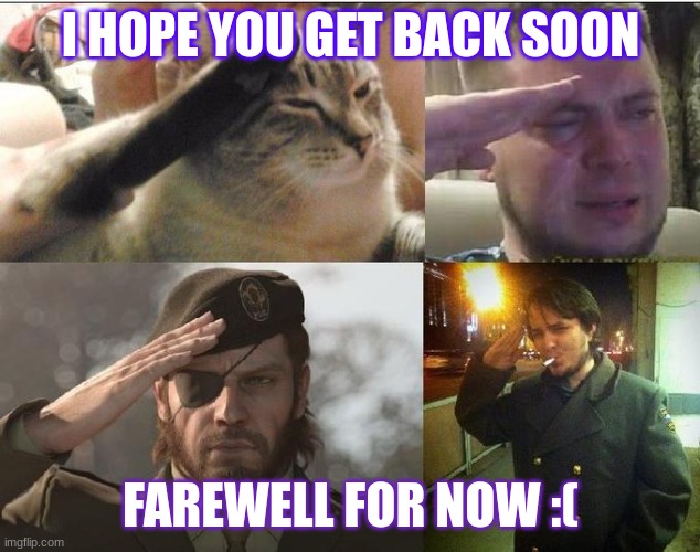 I HOPE YOU GET BACK SOON FAREWELL FOR NOW :( | image tagged in ozon's salute | made w/ Imgflip meme maker