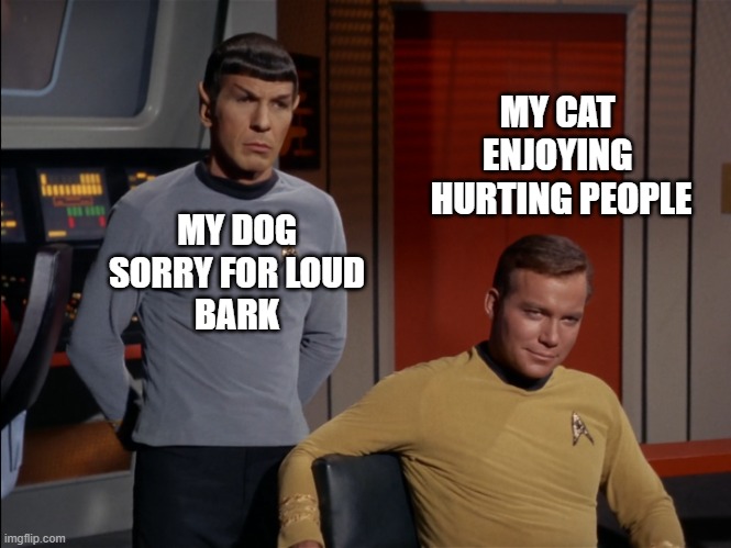 My pets |  MY CAT 
ENJOYING 
HURTING PEOPLE; MY DOG
SORRY FOR LOUD
BARK | image tagged in kirk and spock,captain kirk,kirk,spock,mr spock,star trek | made w/ Imgflip meme maker