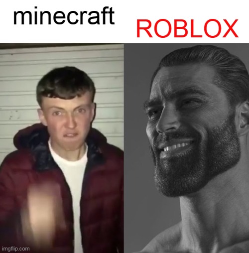 Average Fan vs Average Enjoyer | ROBLOX; minecraft | image tagged in average fan vs average enjoyer | made w/ Imgflip meme maker