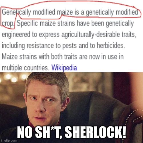 NO SH*T, SHERLOCK! | image tagged in no shit | made w/ Imgflip meme maker