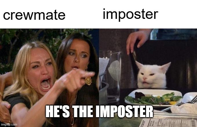 Woman Yelling At Cat Meme | imposter; crewmate; HE'S THE IMPOSTER | image tagged in memes,woman yelling at cat | made w/ Imgflip meme maker