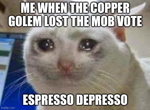 Depresso | ME WHEN THE COPPER GOLEM LOST THE MOB VOTE; ESPRESSO DEPRESSO | image tagged in sad cat | made w/ Imgflip meme maker