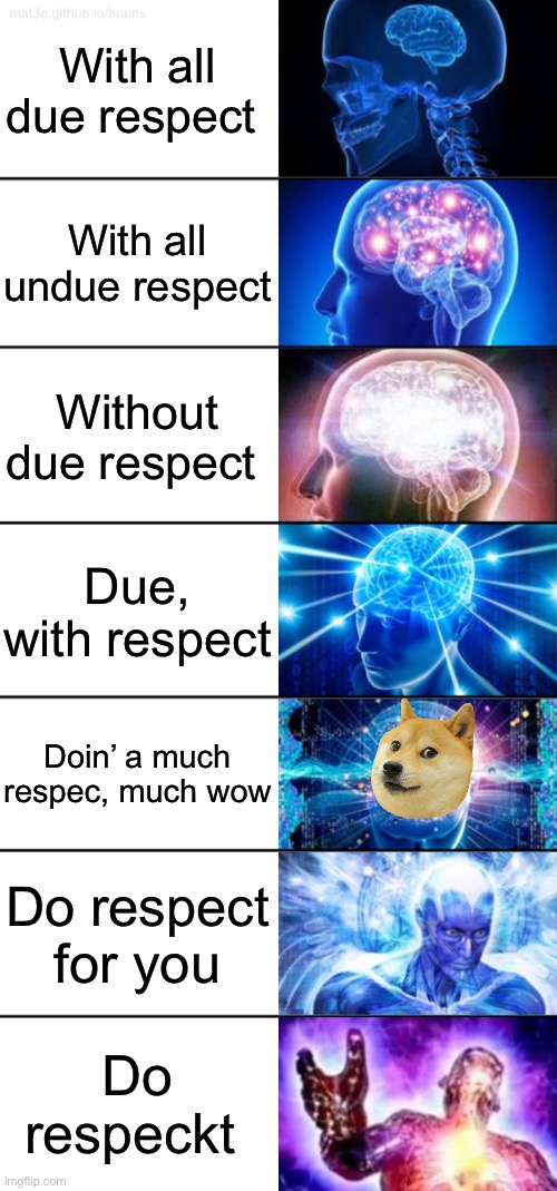 Tiers of respect and undue respect | With all due respect; With all undue respect; Without due respect; Due, with respect; Doin’ a much respec, much wow; Do respect for you; Do respeckt | image tagged in 7-tier expanding brain | made w/ Imgflip meme maker