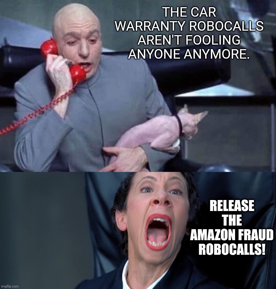 Dr Evil and Frau | THE CAR WARRANTY ROBOCALLS AREN'T FOOLING ANYONE ANYMORE. RELEASE THE AMAZON FRAUD ROBOCALLS! | image tagged in dr evil and frau | made w/ Imgflip meme maker