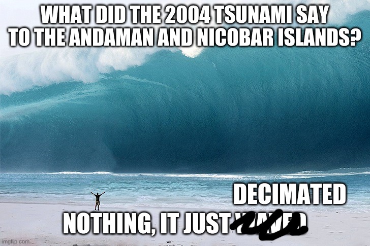 I was doing a project about this | WHAT DID THE 2004 TSUNAMI SAY TO THE ANDAMAN AND NICOBAR ISLANDS? NOTHING, IT JUST WAVED; DECIMATED | image tagged in tsunami | made w/ Imgflip meme maker