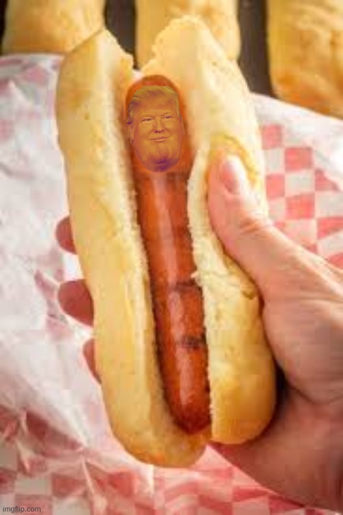 hot dog | image tagged in donald trump | made w/ Imgflip meme maker