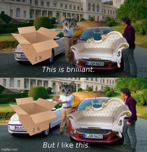 Thought this meme was good but I couldn't find it so i remade it | image tagged in this is brilliant but i like this,repost,cats,box,sofa couch | made w/ Imgflip meme maker
