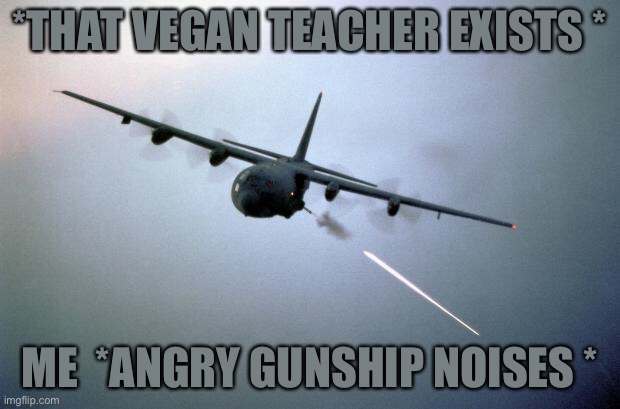 AC-130 Gunship | *THAT VEGAN TEACHER EXISTS *; ME  *ANGRY GUNSHIP NOISES * | image tagged in ac-130 gunship | made w/ Imgflip meme maker