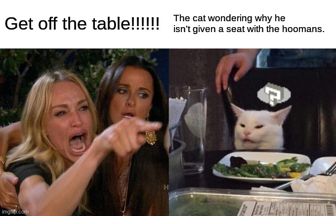 Questions, Questions. | Get off the table!!!!!! The cat wondering why he isn't given a seat with the hoomans. | image tagged in memes,woman yelling at cat | made w/ Imgflip meme maker