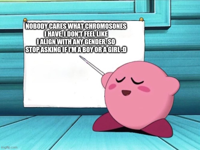 kirby sign | NOBODY CARES WHAT CHROMOSONES I HAVE, I DON'T FEEL LIKE I ALIGN WITH ANY GENDER, SO STOP ASKING IF I'M A BOY OR A GIRL :D | image tagged in kirby sign | made w/ Imgflip meme maker
