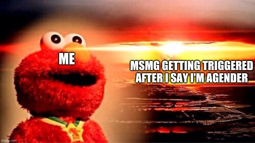 hassasfafssahahaa please help hashsdfaahhahahaahaa | MSMG GETTING TRIGGERED AFTER I SAY I'M AGENDER; ME | image tagged in elmo nuclear explosion | made w/ Imgflip meme maker