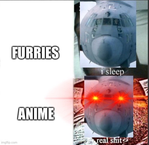 Real shat | FURRIES; ANIME | image tagged in real shat | made w/ Imgflip meme maker
