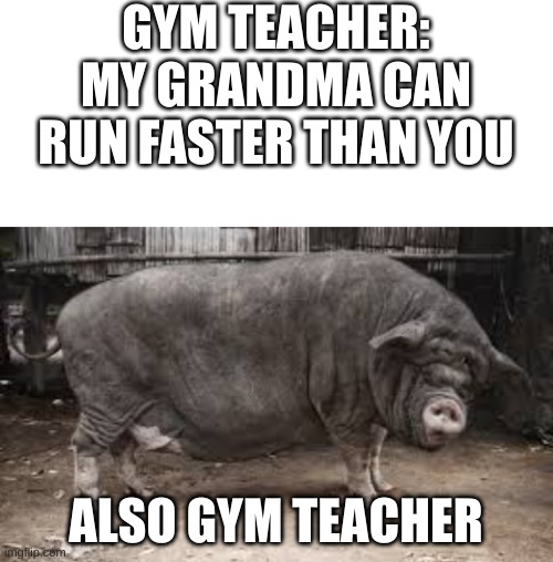 Fat Boi |  GYM TEACHER: MY GRANDMA CAN RUN FASTER THAN YOU; ALSO GYM TEACHER | image tagged in blank white template,fat pig | made w/ Imgflip meme maker