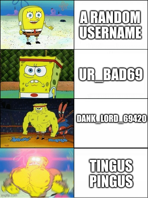 WhO Da F IS TiNGuS PInGus | A RANDOM USERNAME; UR_BAD69; DANK_LORD_69420; TINGUS PINGUS | image tagged in sponge finna commit muder | made w/ Imgflip meme maker