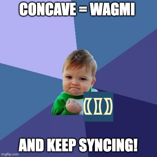 Success Kid Meme | CONCAVE = WAGMI; AND KEEP SYNCING! | image tagged in memes,success kid | made w/ Imgflip meme maker