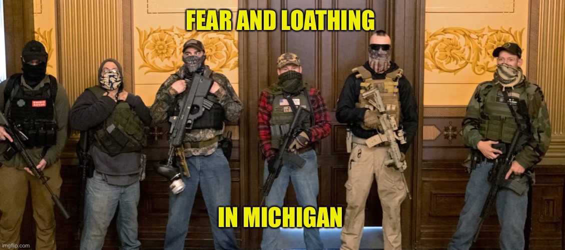 Difference between Democrats and Republicans? Democrats don’t threaten murder over losing an election | FEAR AND LOATHING; IN MICHIGAN | image tagged in michigan militia | made w/ Imgflip meme maker