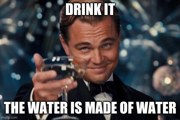 Leonardo Dicaprio Cheers Meme | DRINK IT THE WATER IS MADE OF WATER | image tagged in memes,leonardo dicaprio cheers | made w/ Imgflip meme maker