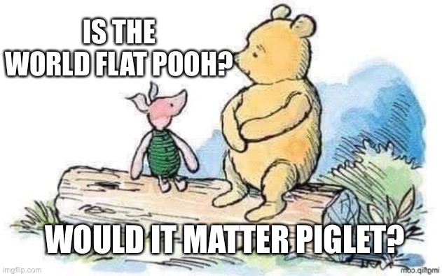 Poohsplaining |  IS THE WORLD FLAT POOH? WOULD IT MATTER PIGLET? | image tagged in flat earth | made w/ Imgflip meme maker