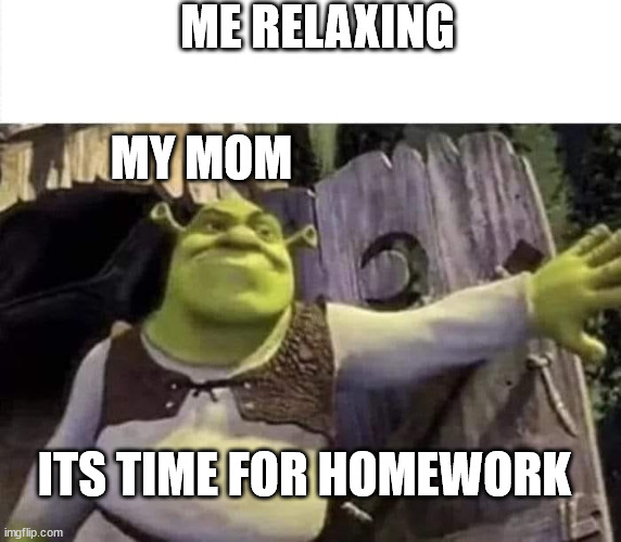 Shrek opens the door | ME RELAXING; MY MOM; ITS TIME FOR HOMEWORK | image tagged in shrek opens the door | made w/ Imgflip meme maker