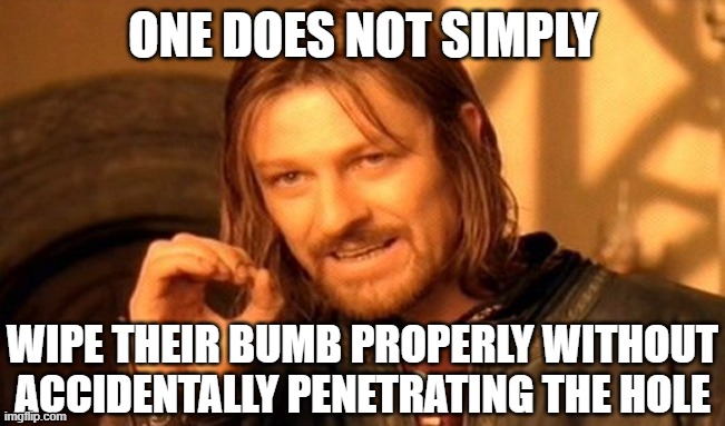 Unless you want skiddies... | ONE DOES NOT SIMPLY; WIPE THEIR BUMB PROPERLY WITHOUT ACCIDENTALLY PENETRATING THE HOLE | image tagged in bumb,ass,arse,wipe,toilet paper,biden | made w/ Imgflip meme maker