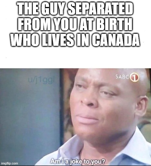 am I a joke to you | THE GUY SEPARATED FROM YOU AT BIRTH WHO LIVES IN CANADA | image tagged in am i a joke to you | made w/ Imgflip meme maker