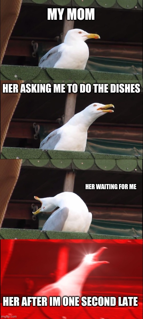 Inhaling Seagull | MY MOM; HER ASKING ME TO DO THE DISHES; HER WAITING FOR ME; HER AFTER IM ONE SECOND LATE | image tagged in memes,inhaling seagull | made w/ Imgflip meme maker