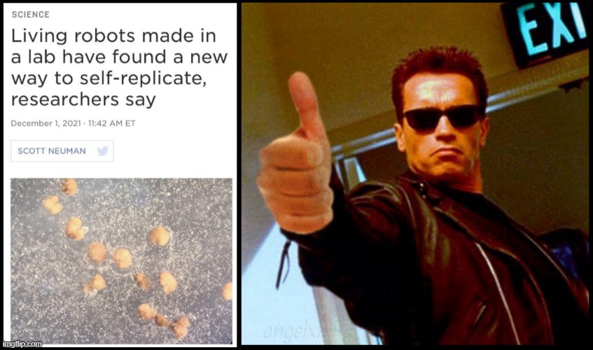 image tagged in terminator,robots,sci-fi,arnold schwarzenegger,action movies,cyborg | made w/ Imgflip meme maker