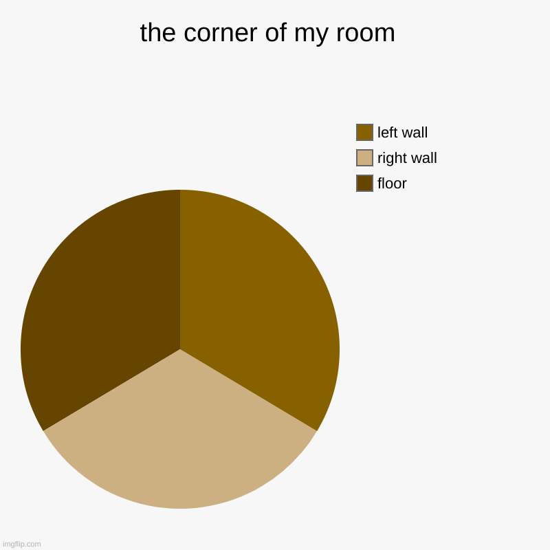 the corner of my room  | floor, right wall, left wall | image tagged in charts,pie charts | made w/ Imgflip chart maker