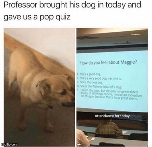 made w/ Imgflip meme maker