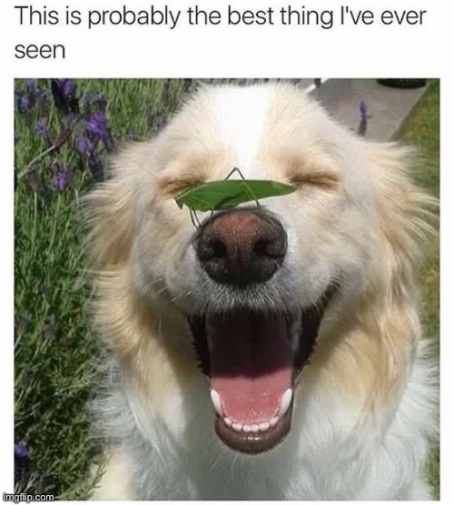 :) | made w/ Imgflip meme maker