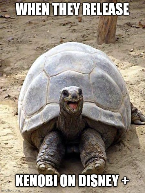 I can't wait | WHEN THEY RELEASE; KENOBI ON DISNEY + | image tagged in smiling happy excited tortoise,tortoise,star wars,obi wan kenobi,kenobi | made w/ Imgflip meme maker