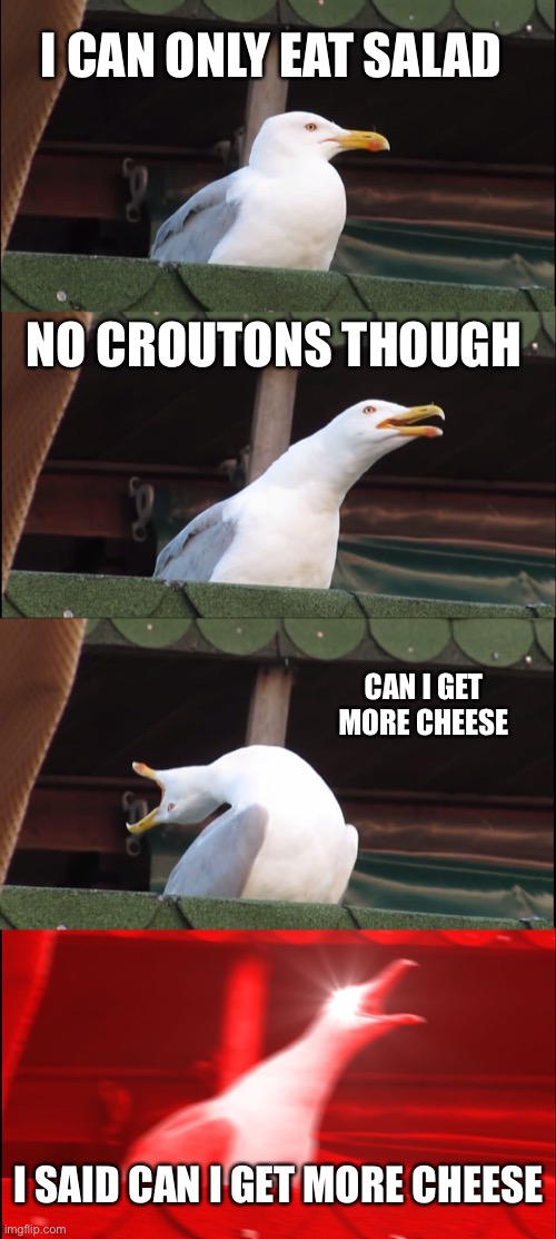 Olive Garden Woes | I CAN ONLY EAT SALAD; NO CROUTONS THOUGH; CAN I GET MORE CHEESE; I SAID CAN I GET MORE CHEESE | image tagged in memes,inhaling seagull,cheese,gluten free | made w/ Imgflip meme maker