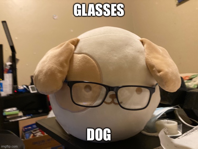 glasses dog | GLASSES; DOG | image tagged in meow | made w/ Imgflip meme maker