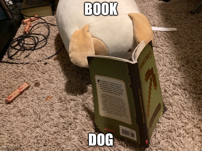 Book Dog | BOOK; DOG | image tagged in meow | made w/ Imgflip meme maker