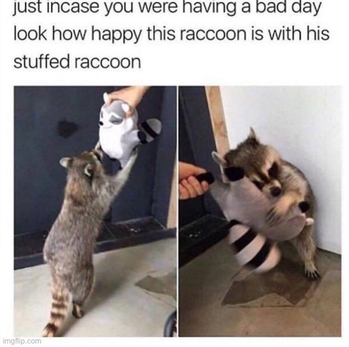 a new friend! :D | made w/ Imgflip meme maker