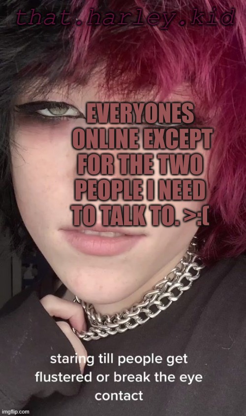 harley temp | EVERYONES  ONLINE EXCEPT FOR THE TWO PEOPLE I NEED TO TALK TO. >:( | image tagged in harley temp | made w/ Imgflip meme maker