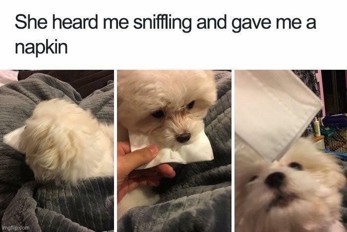 what a good friend | made w/ Imgflip meme maker