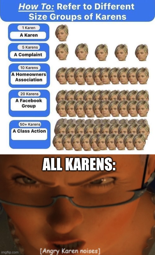 ALL KARENS: | image tagged in angry karen noises | made w/ Imgflip meme maker