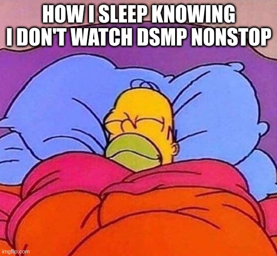 Homer Simpson sleeping peacefully | HOW I SLEEP KNOWING I DON'T WATCH DSMP NONSTOP | image tagged in homer simpson sleeping peacefully,memes,funny,minecraft,dream | made w/ Imgflip meme maker