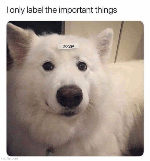 :] | made w/ Imgflip meme maker