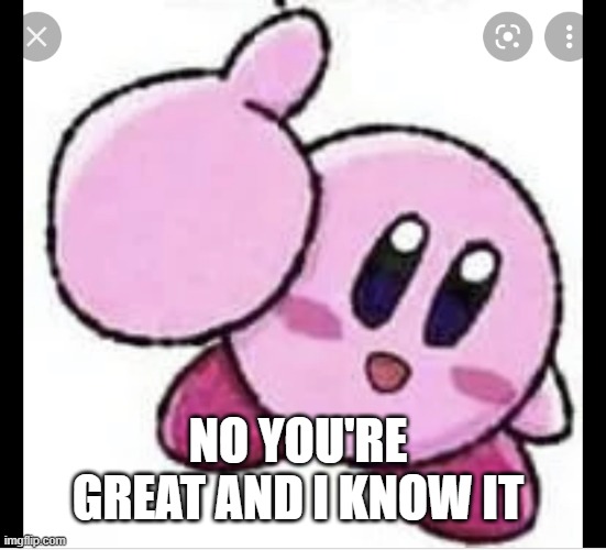 Kirby thumbs up | NO YOU'RE GREAT AND I KNOW IT | image tagged in kirby thumbs up | made w/ Imgflip meme maker