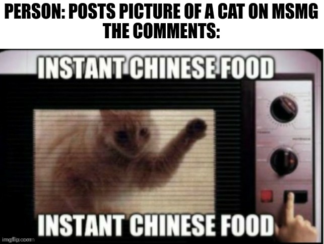 PERSON: POSTS PICTURE OF A CAT ON MSMG
THE COMMENTS: | image tagged in instant chinese food | made w/ Imgflip meme maker