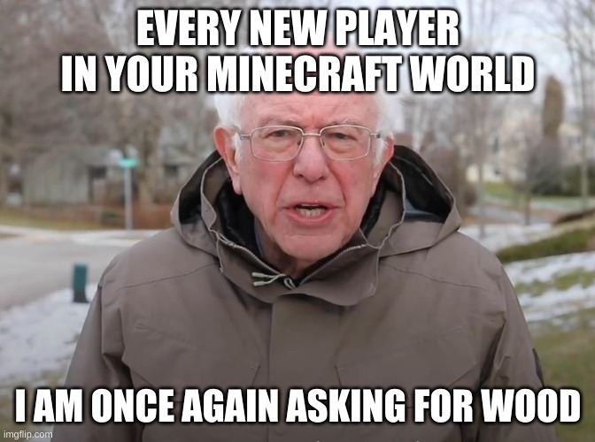 Bernie Sanders Once Again Asking | EVERY NEW PLAYER IN YOUR MINECRAFT WORLD; I AM ONCE AGAIN ASKING FOR WOOD | image tagged in bernie sanders once again asking | made w/ Imgflip meme maker